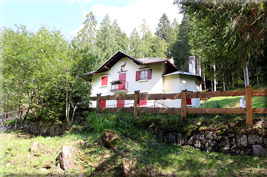 foto Da Forcella Montalon a Val Campelle